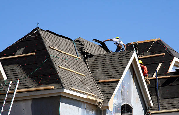 Best Roof Gutter Cleaning  in South Highpoint, FL